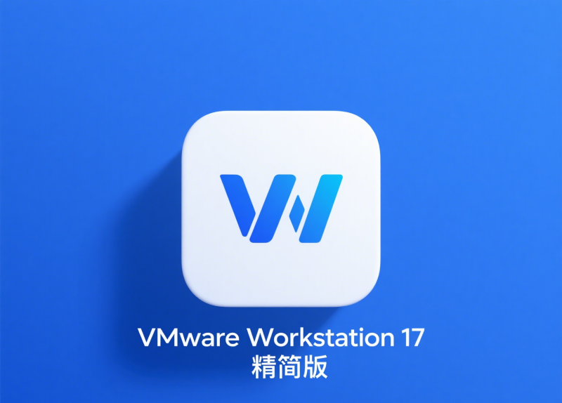 VMware Workstation 17.6.4 精简版|免激活支持安装Mac OS X- 云起