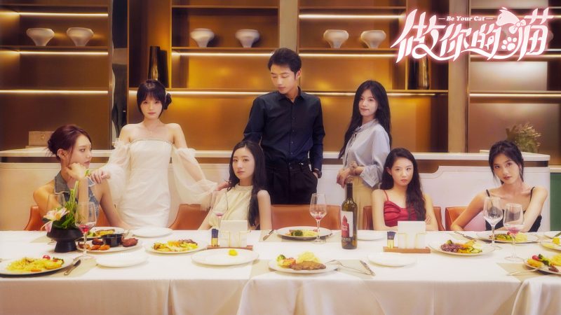 《做你的猫》中文版｜AI生成的喵系人生，每一爪都是剧情杀- 云起